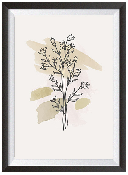plakat kontur kwiat liście obrys rośliny liść linie artystyczny